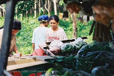 11 Thailand 2002 F1060008 Khao Lak Ausflug Khao Sok_478